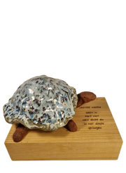 rood blauwe schildpad