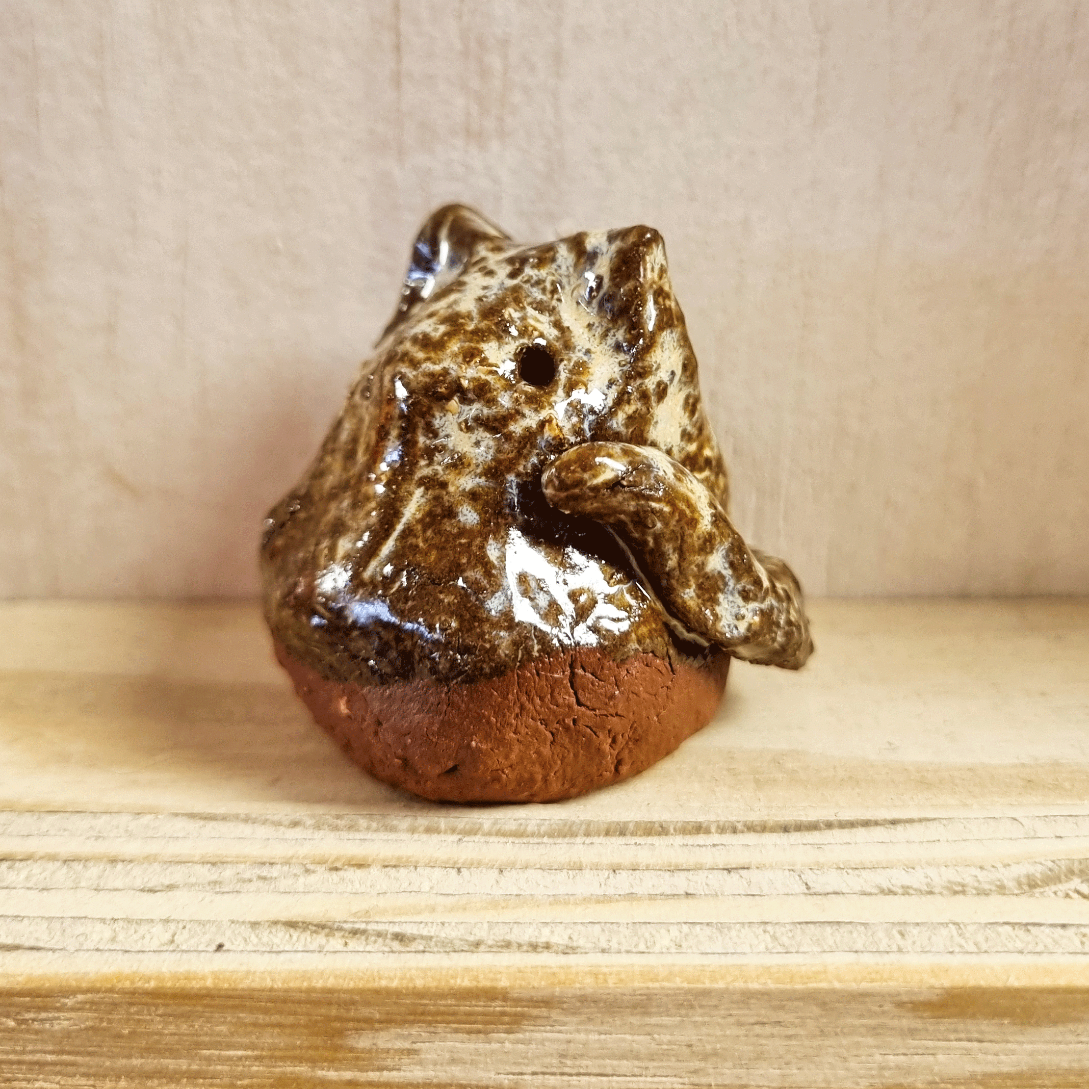 miniatureluurtje poes