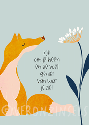 kaart kijk