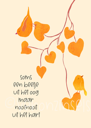 wenskaart uit het oog