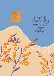 kaart hoger vliegen