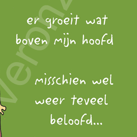 kaart teveel beloofd